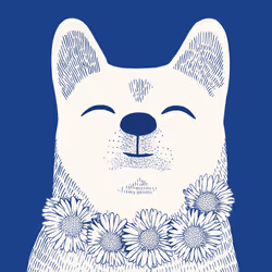 Zoolini - Akita