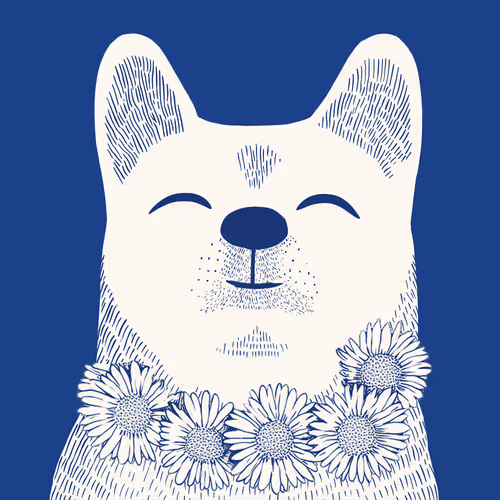 Zoolini - Akita