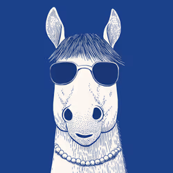 Zoolini - Horse