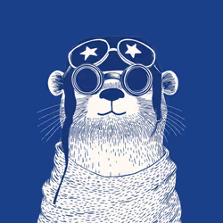Zoolini - Otter