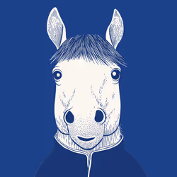 Zoolini - Horse