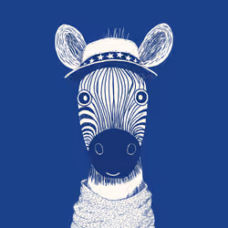 Zoolini - Zebra
