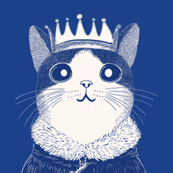 Zoolini - Cat