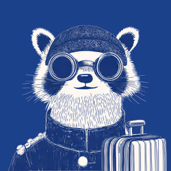 Zoolini - Raccoon