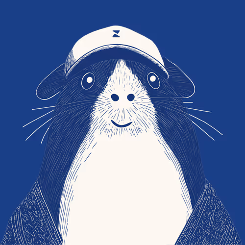 Zoolini - Guinea Pig