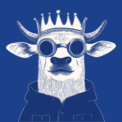 Zoolini - Cow