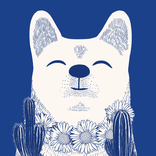 Zoolini - Akita