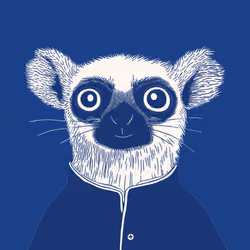 Zoolini - Lemur