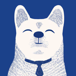 Zoolini - Akita