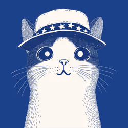 Zoolini - Cat