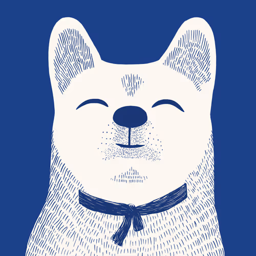 Zoolini - Akita