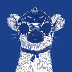 Zoolini - Lemur