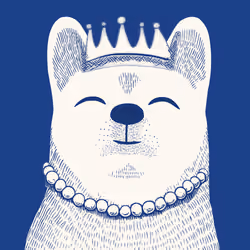 Zoolini - Akita