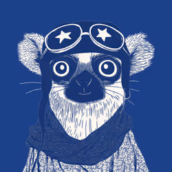 Zoolini - Lemur