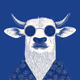 4354