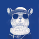 Zoolini - Chipmunk