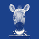 Zoolini - Zebra