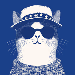 Zoolini - Cat