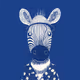 Zoolini - Zebra