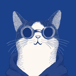 Zoolini - Cat
