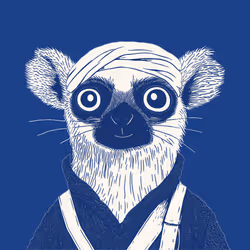 Zoolini - Lemur