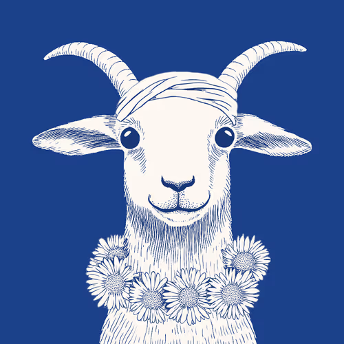Zoolini - Goat