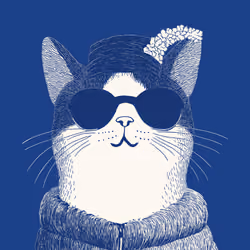 Zoolini - Cat