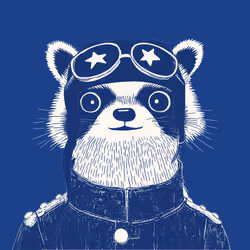 Zoolini - Raccoon