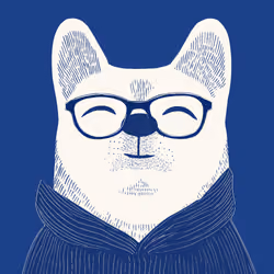 Zoolini - Akita
