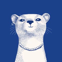 Zoolini - Puma
