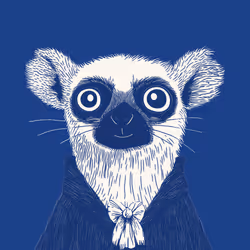 Zoolini - Lemur