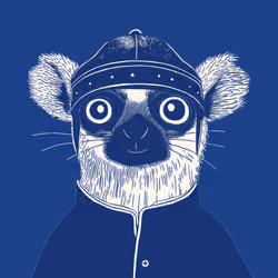 Zoolini - Lemur
