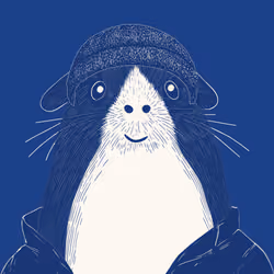 Zoolini - Guinea Pig