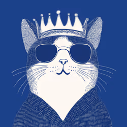 Zoolini - Cat
