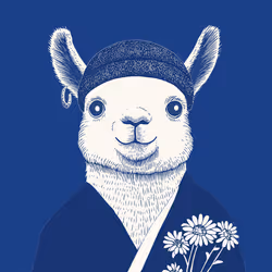 Zoolini - Lama