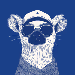 Zoolini - Lemur