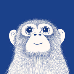 Zoolini - Macaque