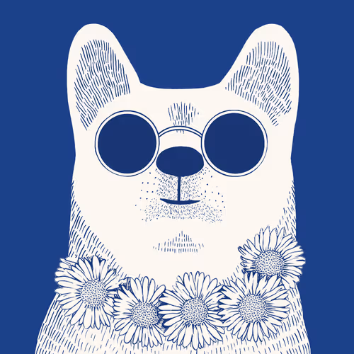 Zoolini - Akita