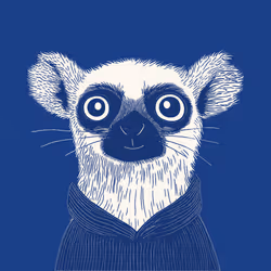 Zoolini - Lemur
