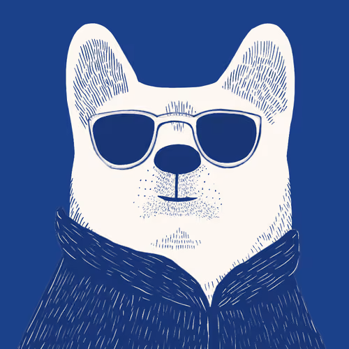 Zoolini - Akita