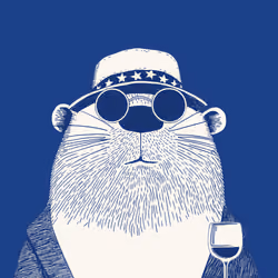 Zoolini - Beaver
