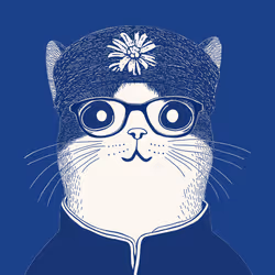 Zoolini - Cat