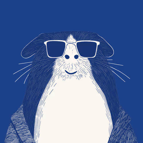 Zoolini - Guinea Pig