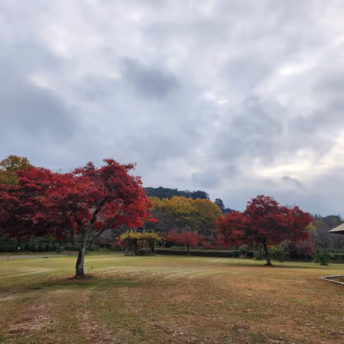 Autumn In Japan 1