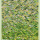 #251