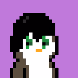 Crypto Penguins Punks #1170