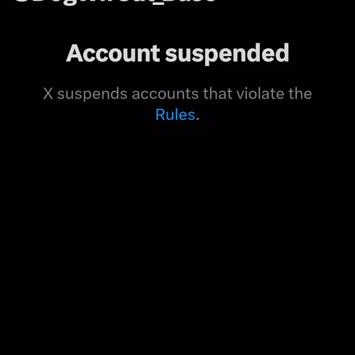 DogWifCat Early Designs - Collector's Edition