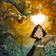 lost in magic world