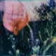 Reverie