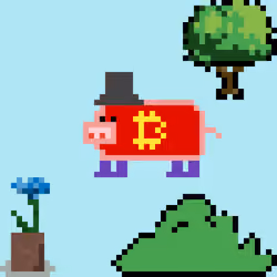 Pig #377